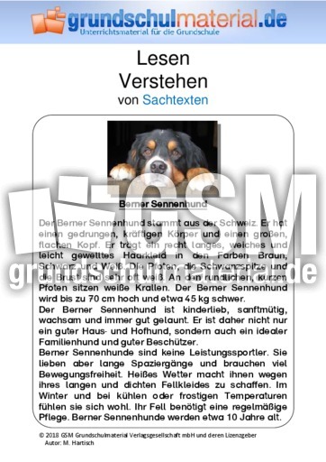 Berner Sennenhund -Sachtext.pdf